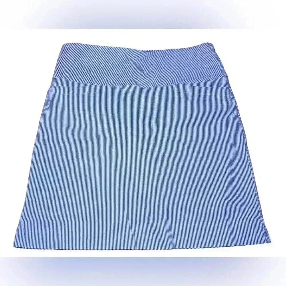 S.C. & CO. Ladies Tummy Control Blue White Pinstripe Skort Size Small Golf